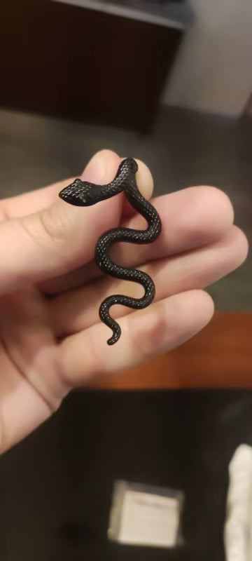 2x Aretes de Serpientes Negras