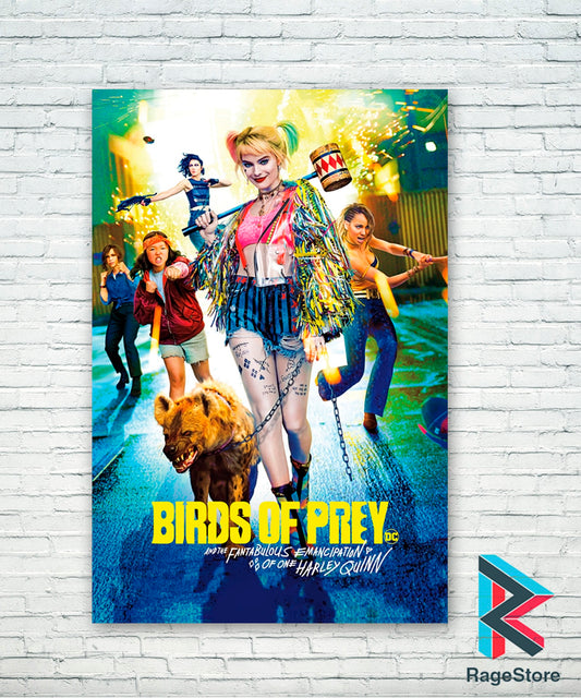 Póster Birds Of Prey