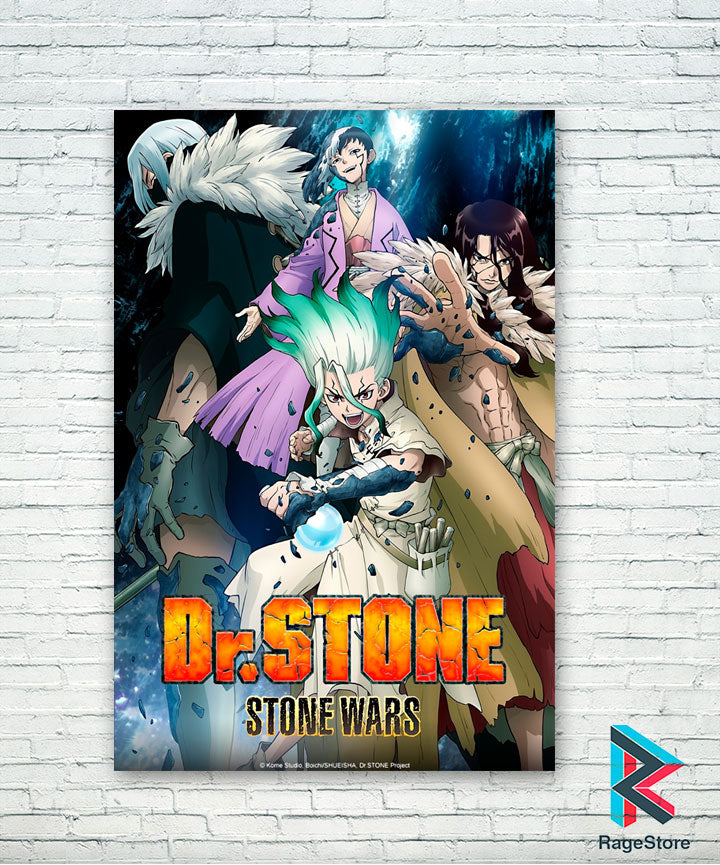 Póster Stone Wars - Dr. Stone