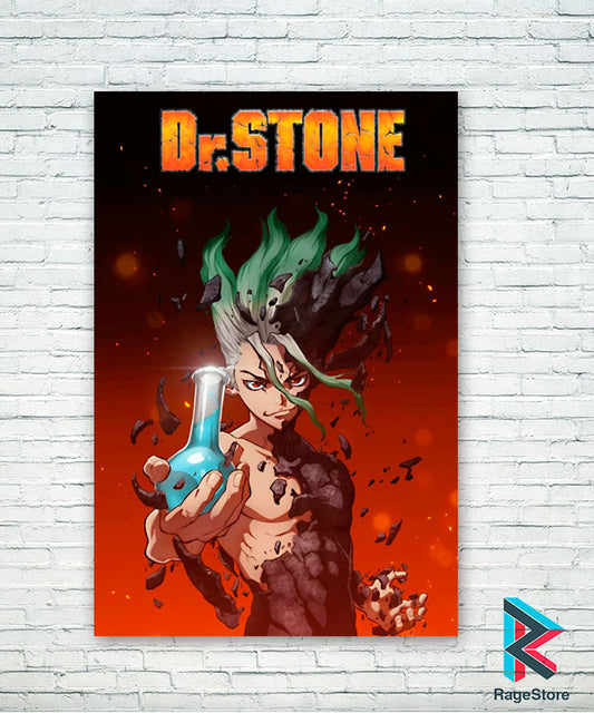 Póster Dr. Stone (Papel Foto ó Metálico)