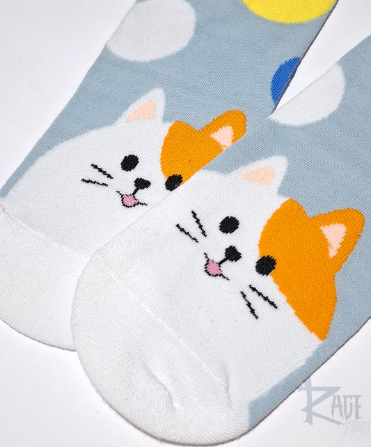 Calcetines de gato Blanco con Naranja